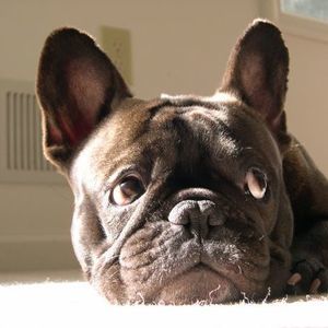 Meet your Posher, Jody